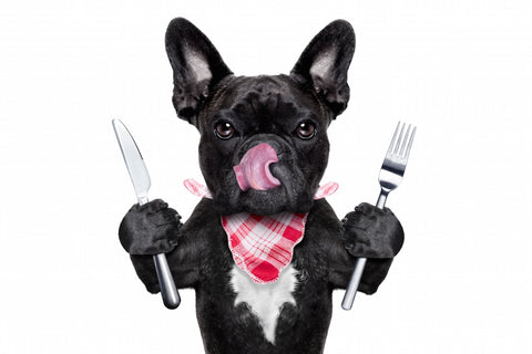 Comparison of human grade and pet grade meat cuts for dog food