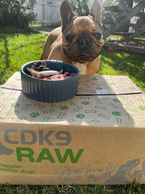 Hydration Raw Dog Food Diet
