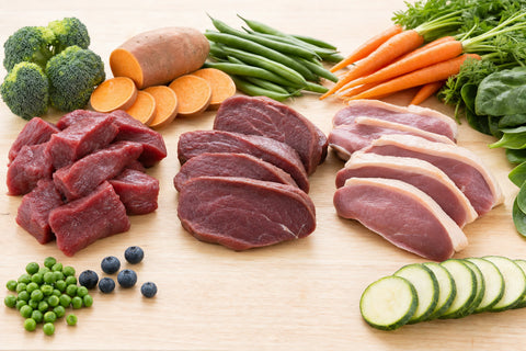 Novel protein sources for dogs including duck and beef laid out with fresh vegetables