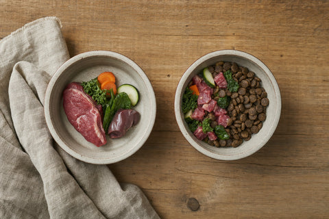 Two dog bowls side by side, one with fresh raw meat and vegetables, one transitioning between raw and kibble