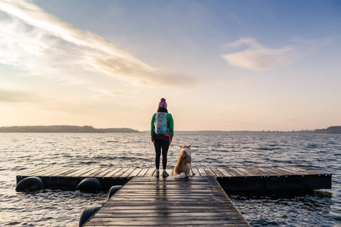 Dog and owner looking out over water, reflecting on the global pet food supply chain
