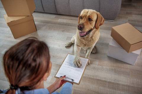 Fresh raw dog food delivery box arriving at an Australian home for a subscription order