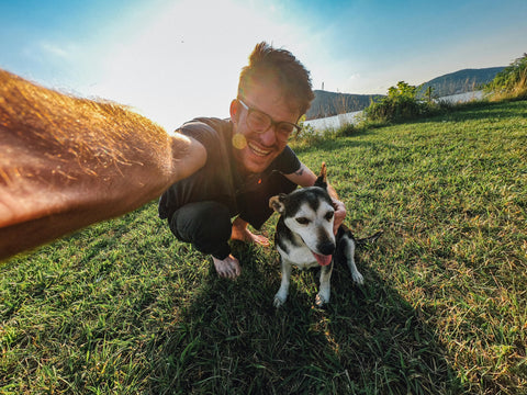  Raw Dog Food Diet During Summer