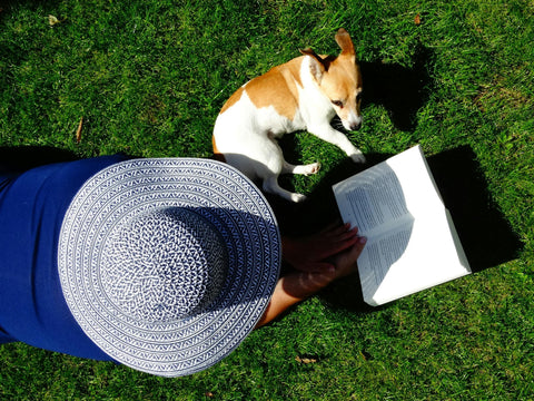 Prepping Your Dog’s Diet for the Australian Summer: Boosting Health with Raw Food