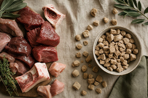 Fresh raw meat and freeze-dried dog food pellets side by side on linen, comparing raw vs freeze-dried dog food formats