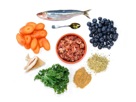 Fresh raw dog food ingredients including beef, chicken and duck laid out on a bench