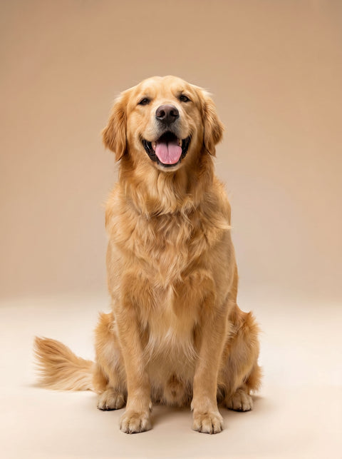 Weekly Package - 25 to 30kg Dog