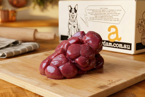 Beef Kidney