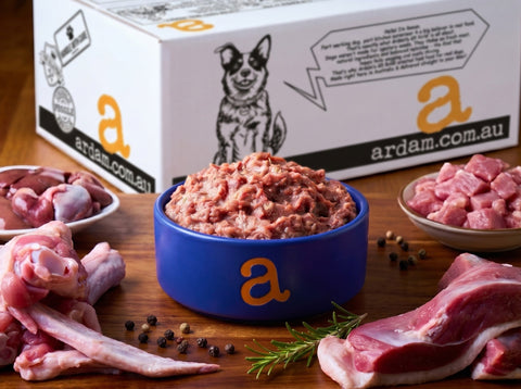 Duck bulk cat food