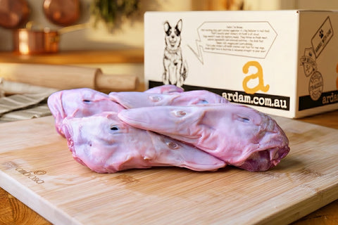 Duck Heads