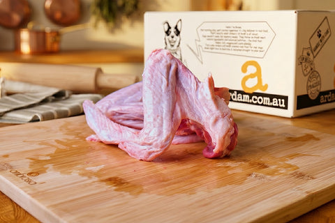 Large Duck Wings