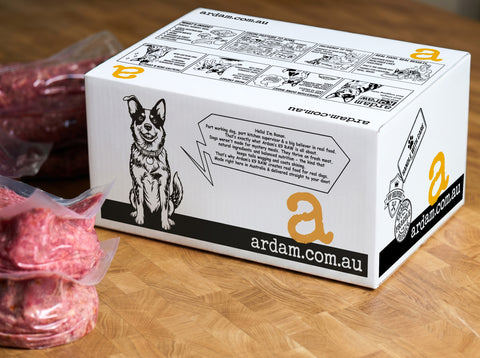 Raw Dog Food Sample Pack — 8 x 300g