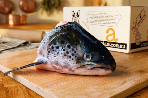 Salmon Heads