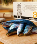 Sardines